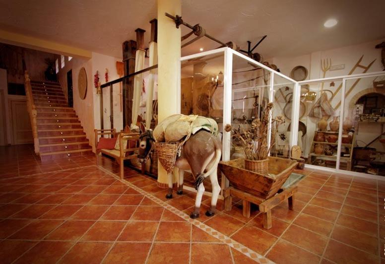 Casa Rural Molino Pataslargas Cotillas Dış mekan fotoğraf